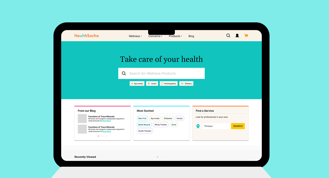 Healthsocho Web Portal Interface